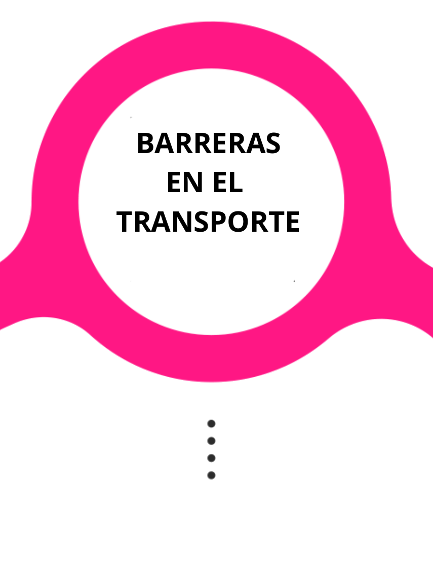 Barreras en el Transporte